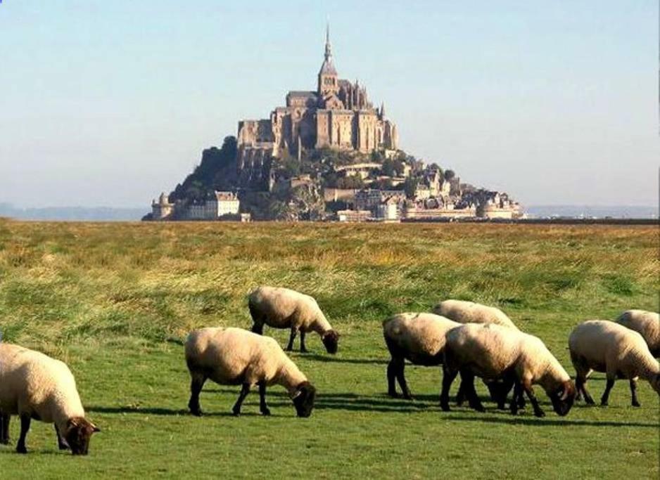 Lepetit Nid Du Mont Maison Normande Proche De La Baie Du Mont Saint Michel Pontorson Esterno foto